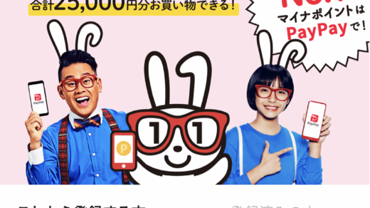 ポイントに種類があるのは実に紛らわしい