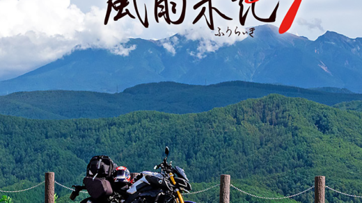 実写組合せゲーム