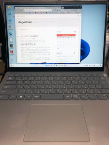 案外ちゃんとした作りだった